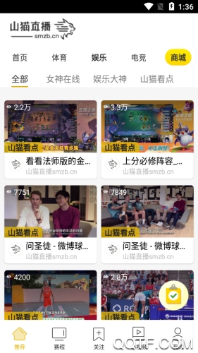 山猫直播去广告版