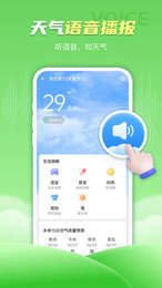 春雨天气安卓版截图1
