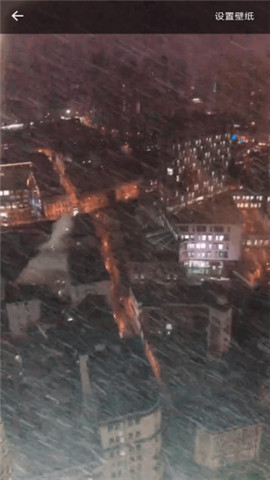 秋霞视频在线观看版