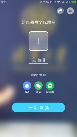 红桃直播在线观看版