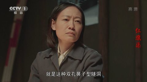 麻豆视频在线播放版